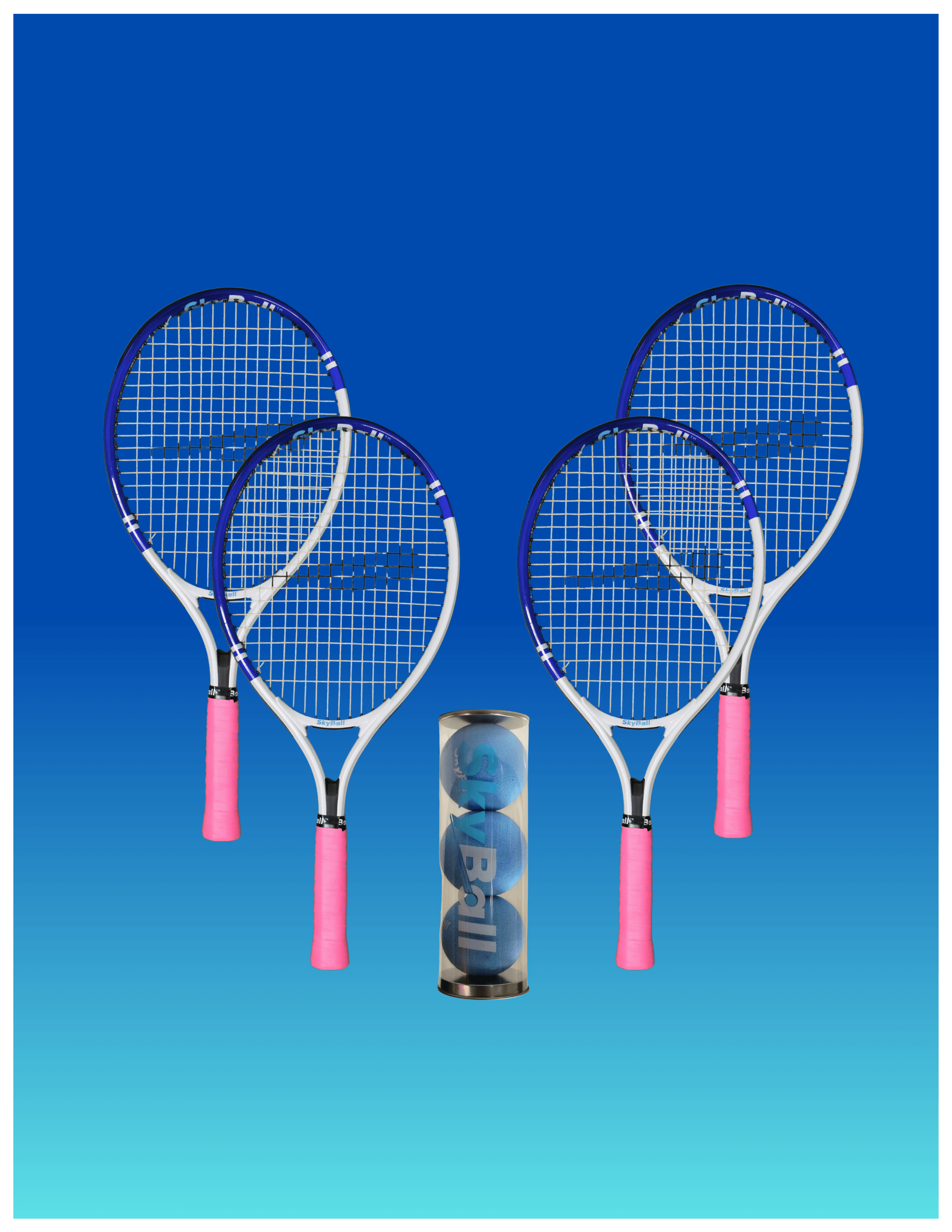 Partners Pack – Starter - view 1