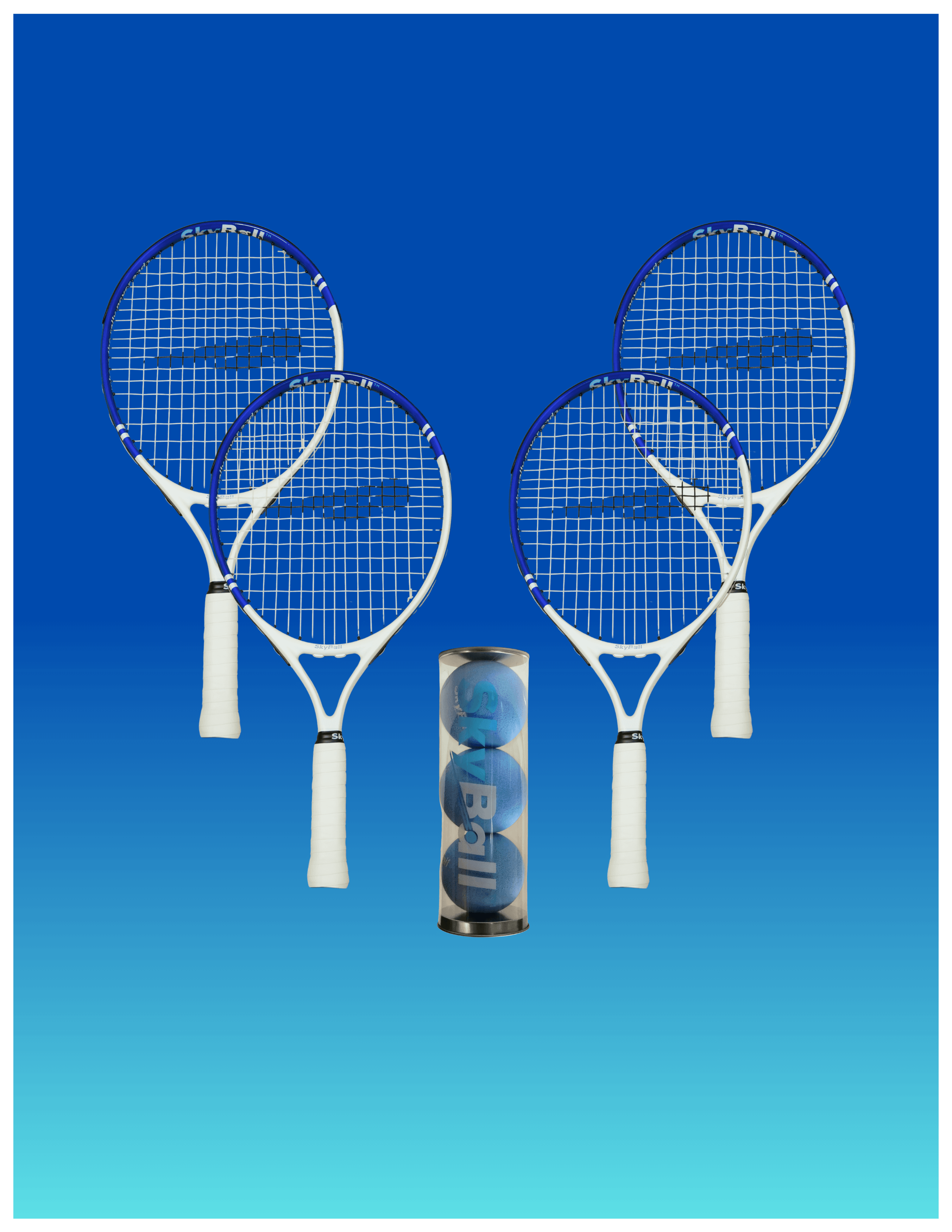 Partners Pack – Pro - view 1