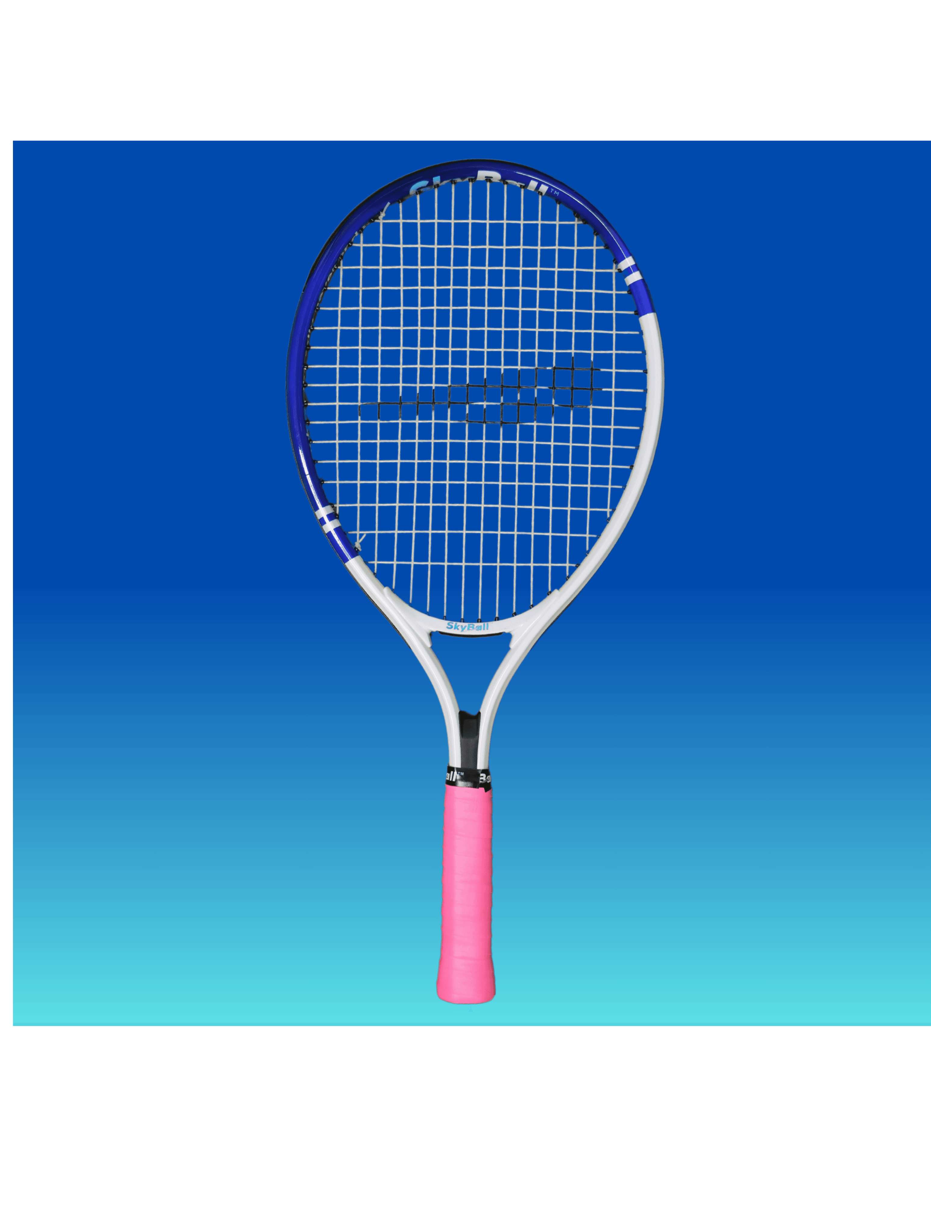 Partners Pack – Starter thumbnail 3