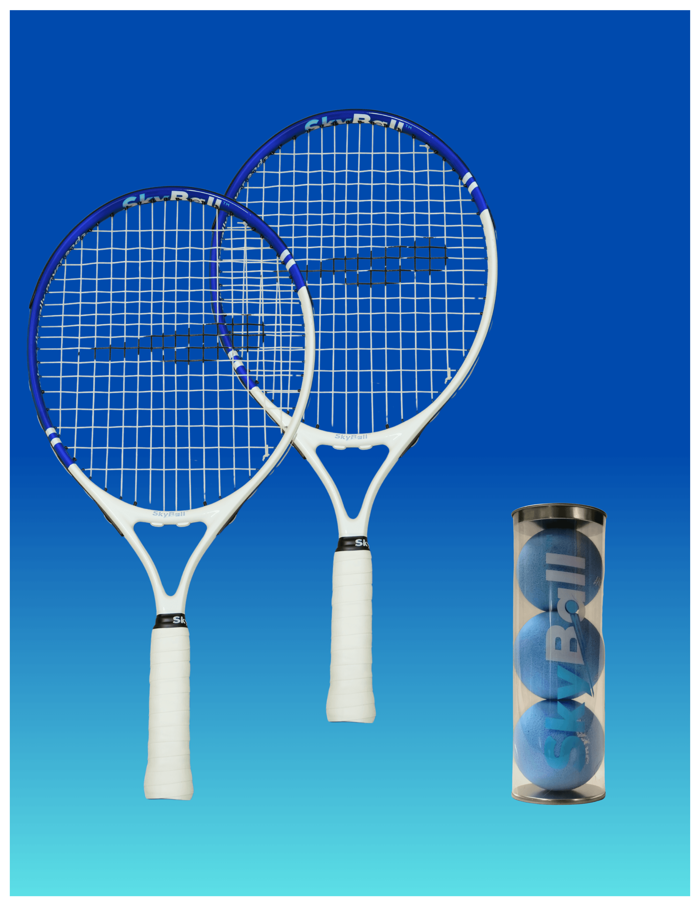 SkyBall Essentials – Pro - view 1